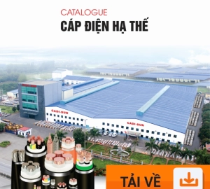 CÁP ĐIỆN HẠ THẾ - Cadisun