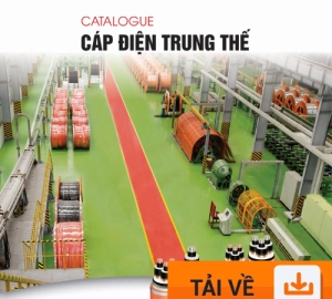 Cáp Điện Trung Thế - Cadisun