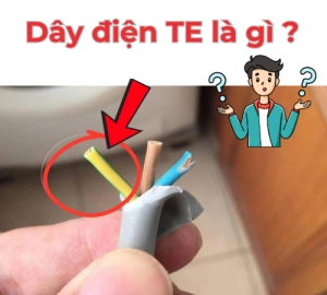 Dây TE là gì? Tìm hiểu chi tiết về dây điện TE